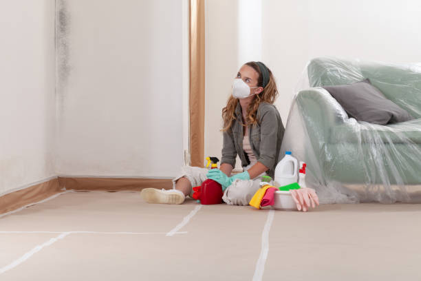 Reliable Crawl Space Mold Removal contractor in Beallsville, MD by WQB Mold Removal